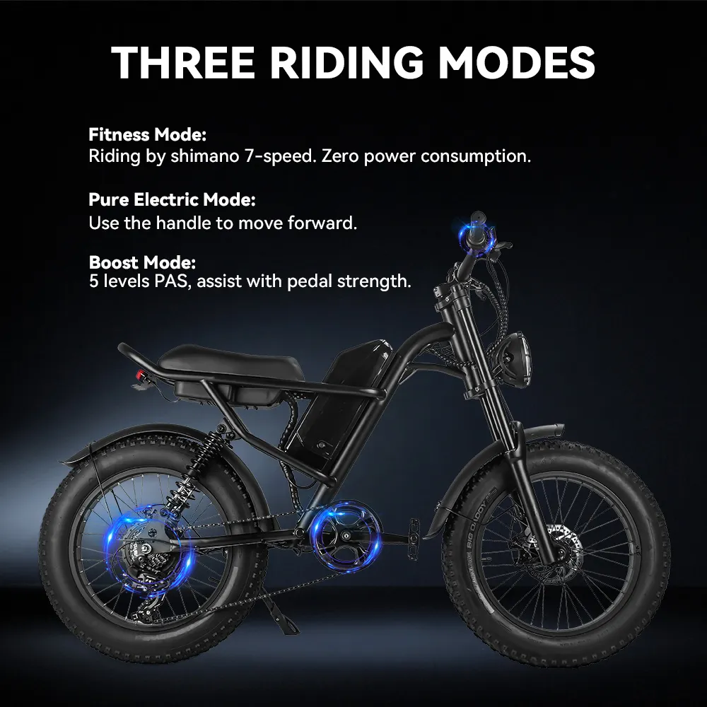 iEZway J1 Elecctric Bike (23)