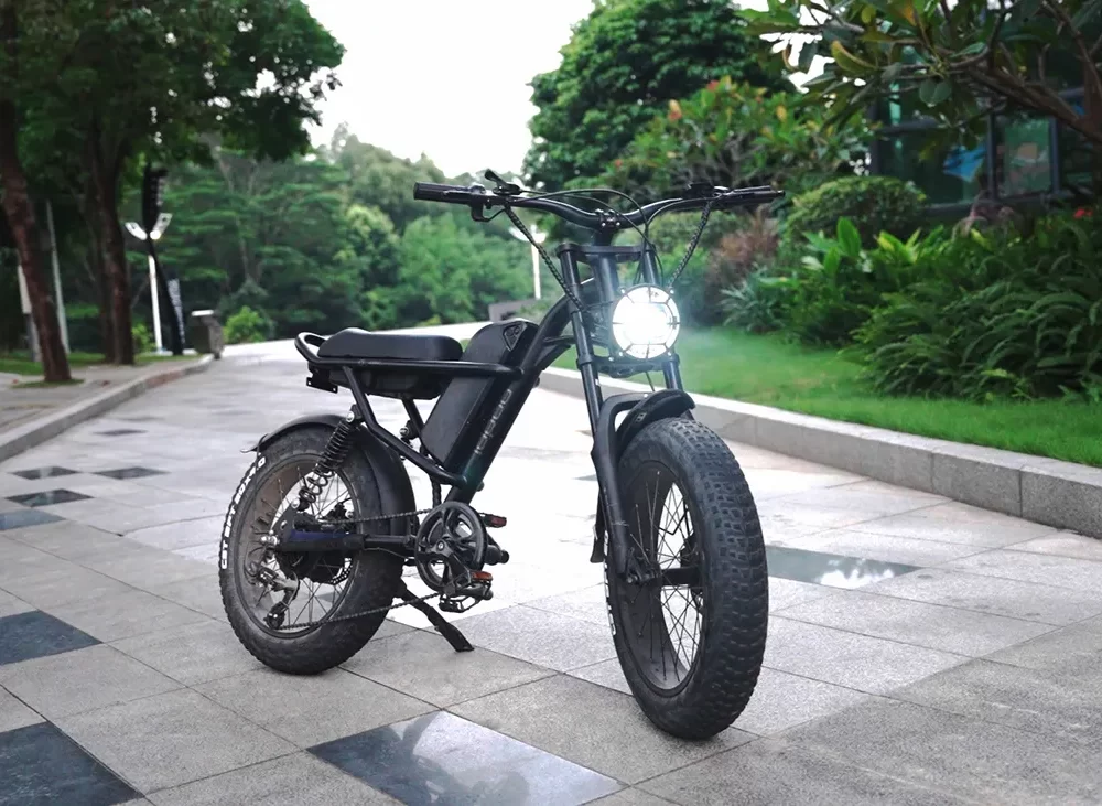 iEZway J1 Elecctric Bike (26)