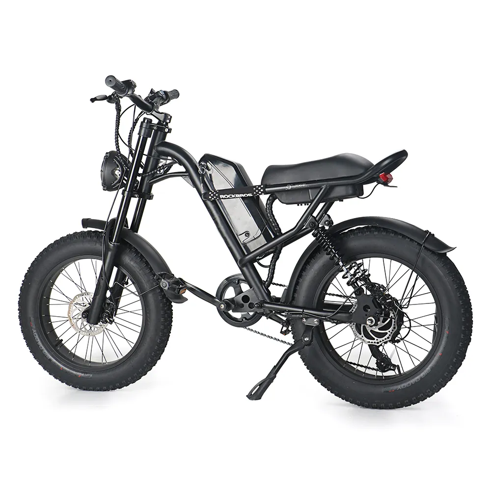 iEZway J1 Elecctric Bike (27)