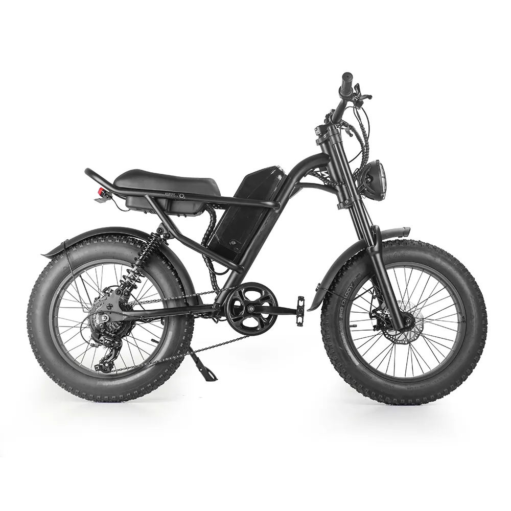 iEZway J1 Elecctric Bike (29)