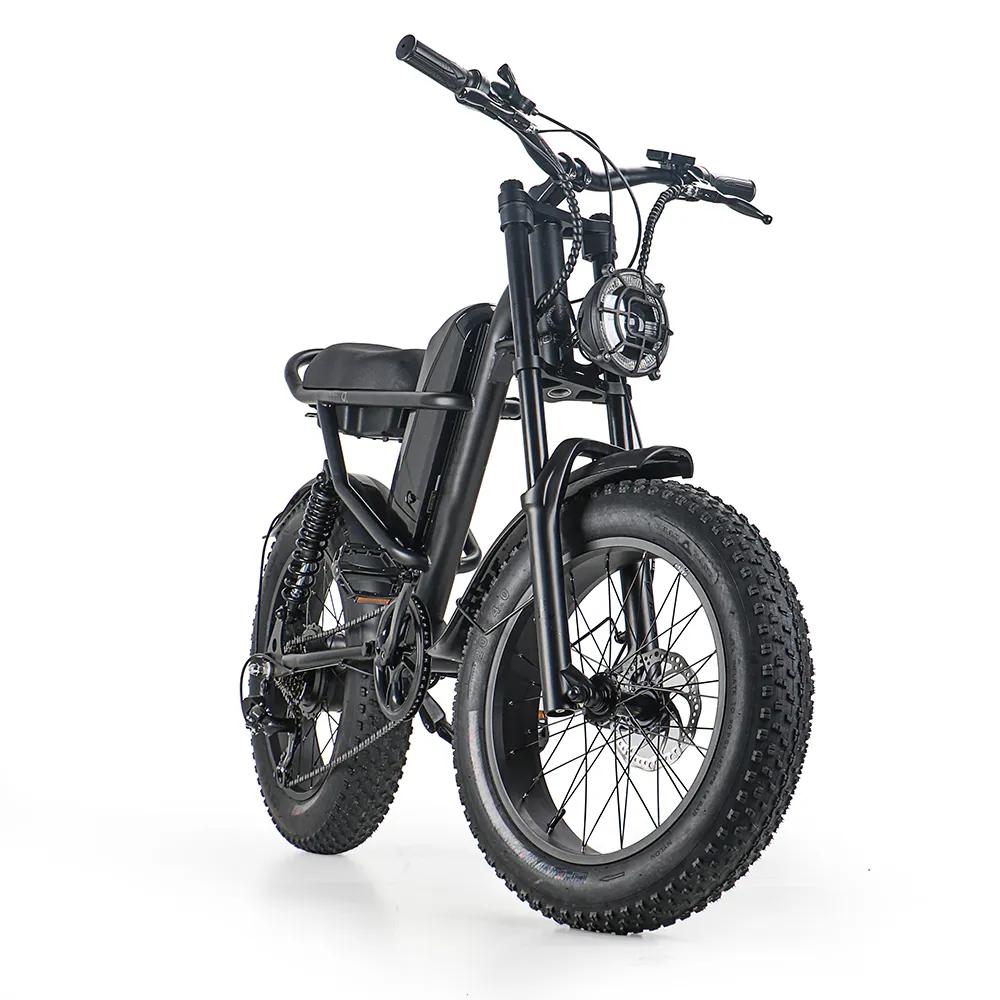 iEZway J1 Elecctric Bike (30)