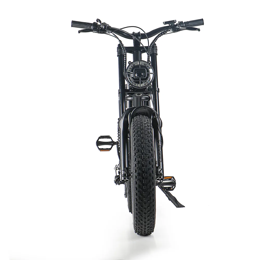 iEZway J1 Elecctric Bike (31)