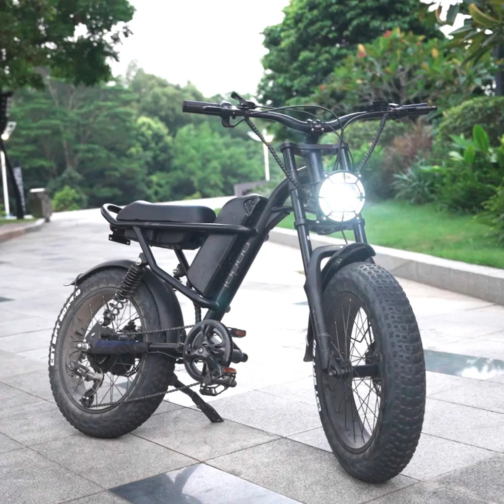 iEZway J1 Elecctric Bike (4)