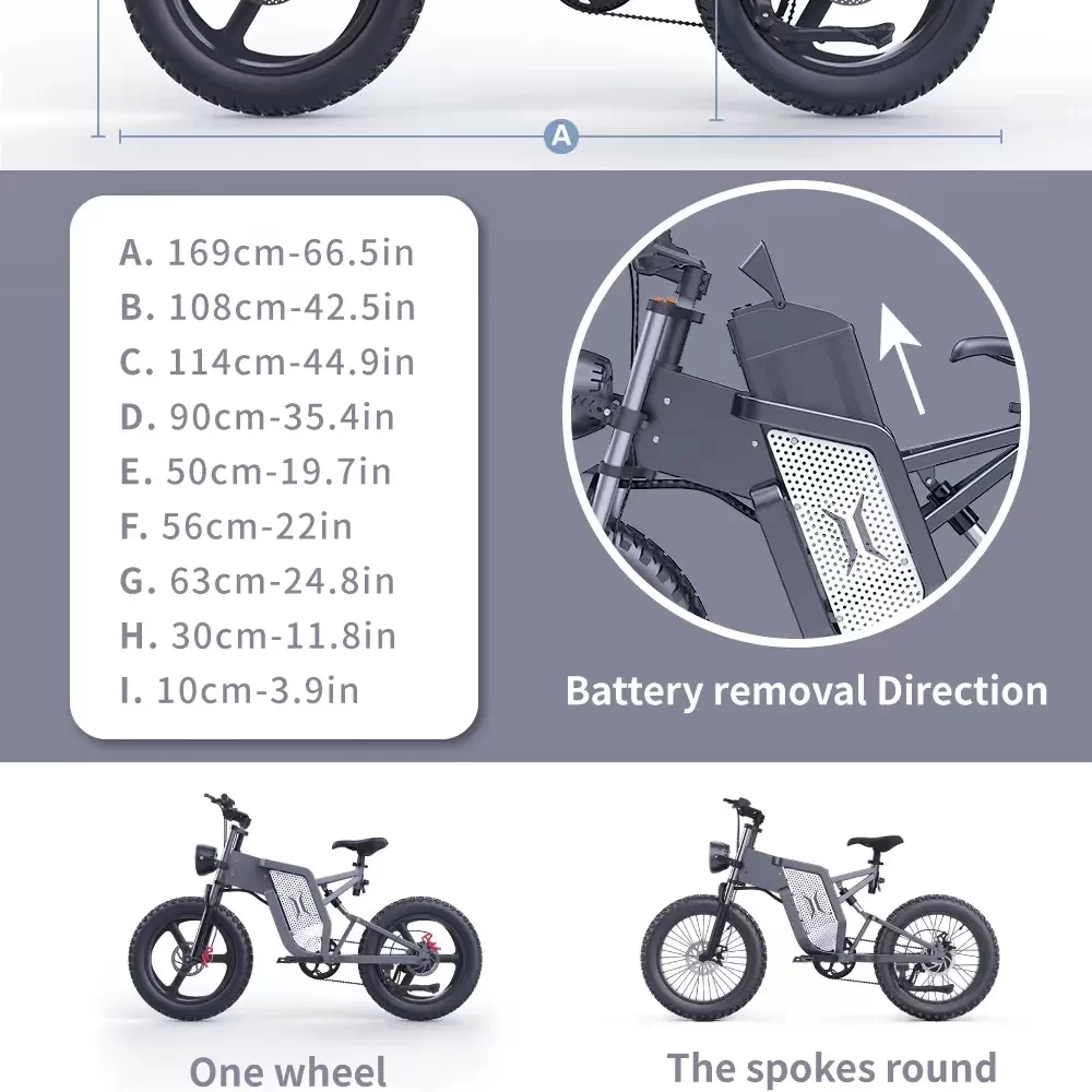 iEZway X20 Electric Bike (1)